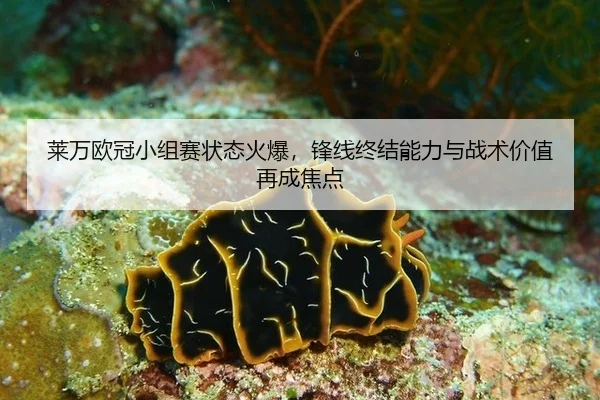 莱万欧冠小组赛状态火爆，锋线终结能力与战术价值再成焦点
